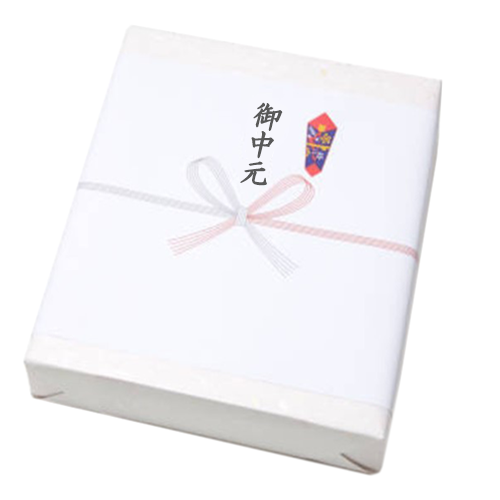 通常熨斗 のし 熨斗 水引