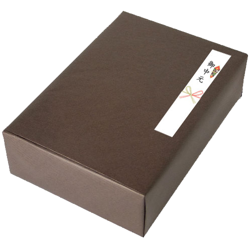 短冊熨斗 のし 熨斗 水引