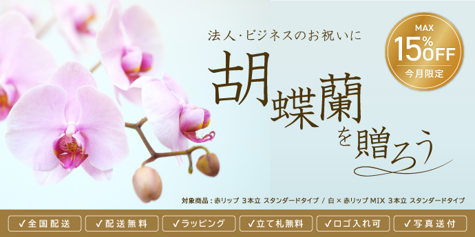 【胡蝶蘭キャンペーン】最大15％OFF！