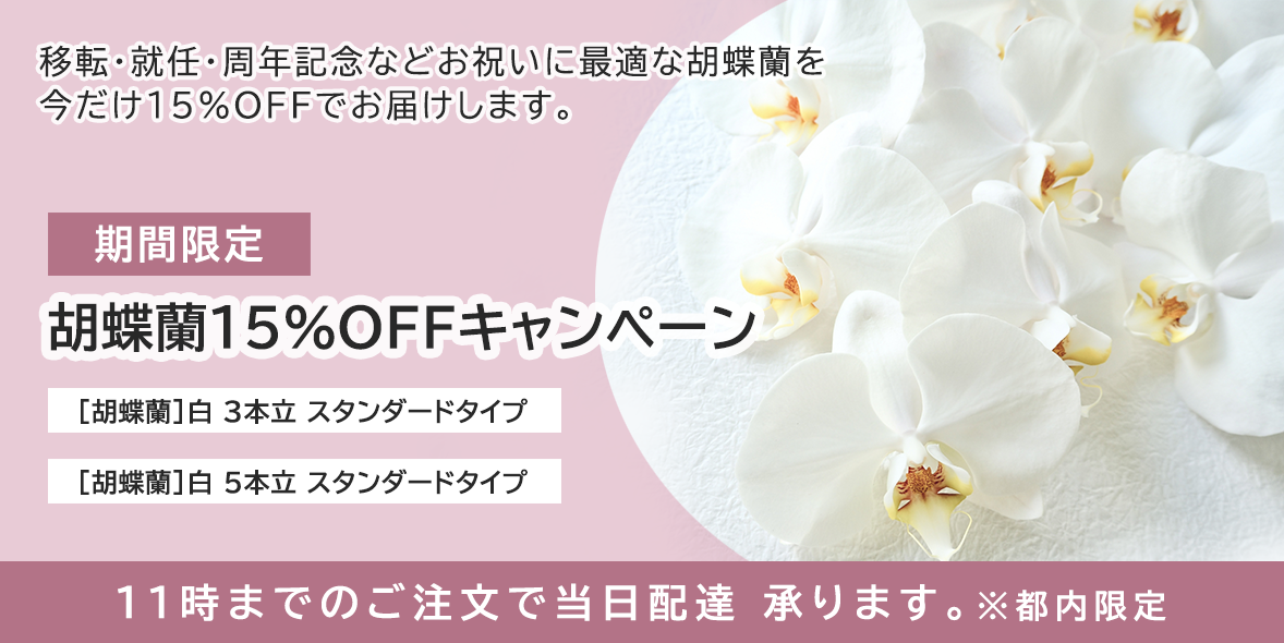 【胡蝶蘭キャンペーン】最大15％OFF！