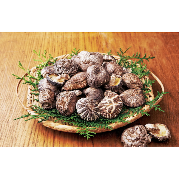 大分産椎茸どんこ