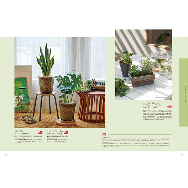 [カタログギフト]Mistral(ミストラル)＜Plumeria(プルメリア)＞