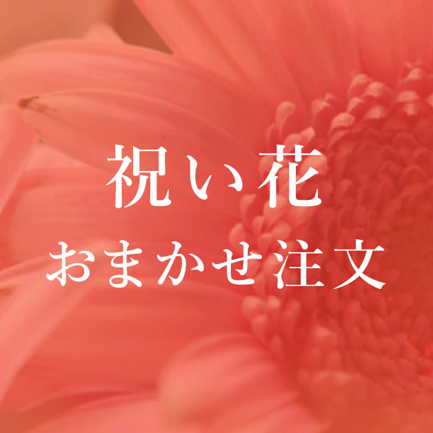 祝い花おまかせ注文