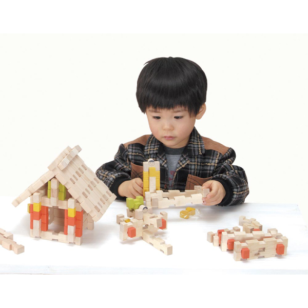 [エド・インター]ユークリッドブロック(600pcs)