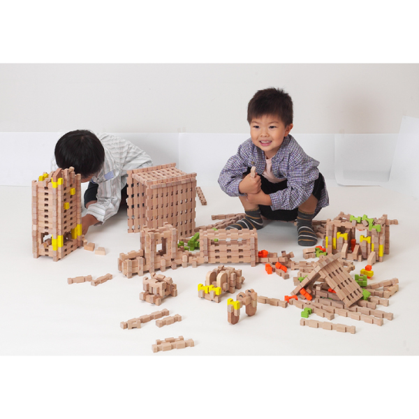 [エド・インター]ユークリッドブロック(600pcs)