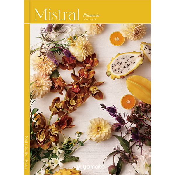 [カタログギフト]Mistral(ミストラル)＜Plumeria(プルメリア)＞