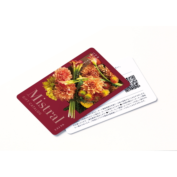 [カタログギフト]Mistral(ミストラル)＜Plumeria(プルメリア)＞