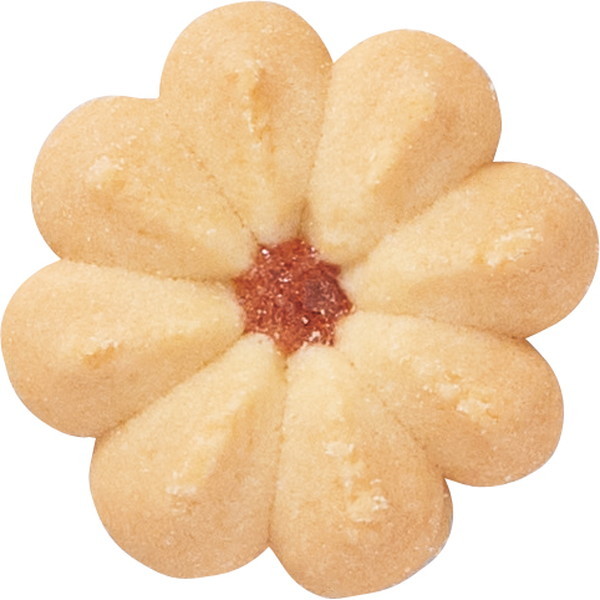 【ロゴシール付き/送料無料】[アンドルチェ]タルト&クッキーセット