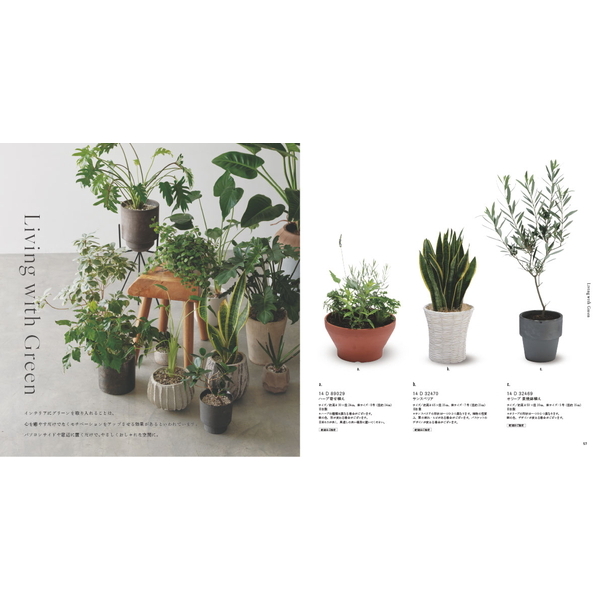 [カタログギフト]ＡＣＴＵＳ-アクタス-＜HANA　[花]＞