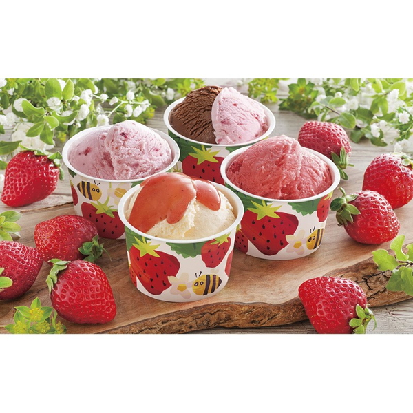 博多あまおうのこだわりアイス【直送品】【送料込】