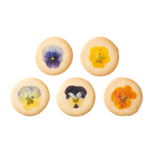 [OCEAN&TERRE SWEETS]エディブルフルールクッキー