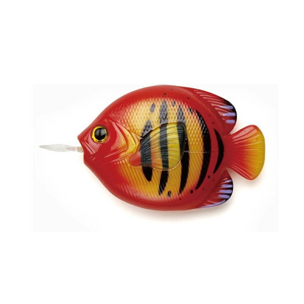 [FiiiiiSH]FISH MEASURE-FLAME ANGELFISH/メジャー