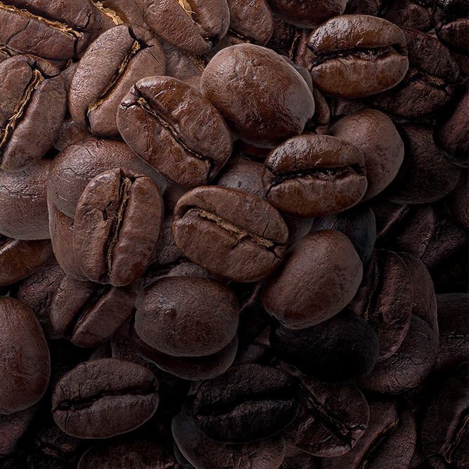 [OCEAN&TERRE]Speciality CoffeeセットC