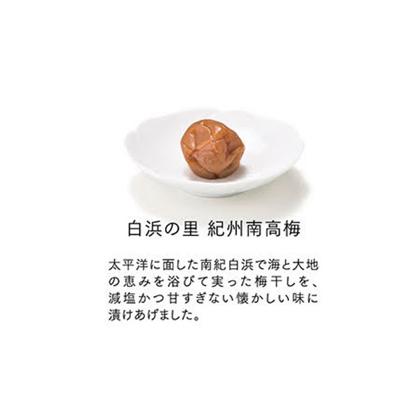 [OCEAN&TERRE]Premium 紀州南高梅 9粒 木箱入り