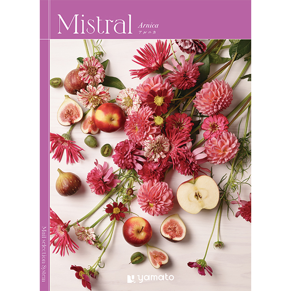[カタログギフト]Mistral(ミストラル)＜Arnica(アルニカ)＞