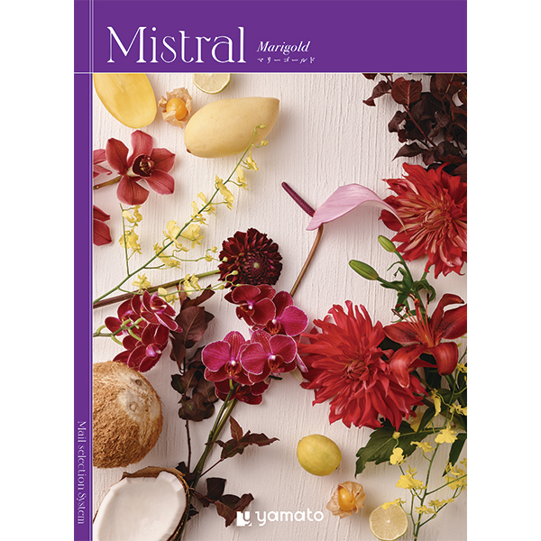 [カタログギフト]Mistral(ミストラル)＜Marigold(マリーゴールド)＞