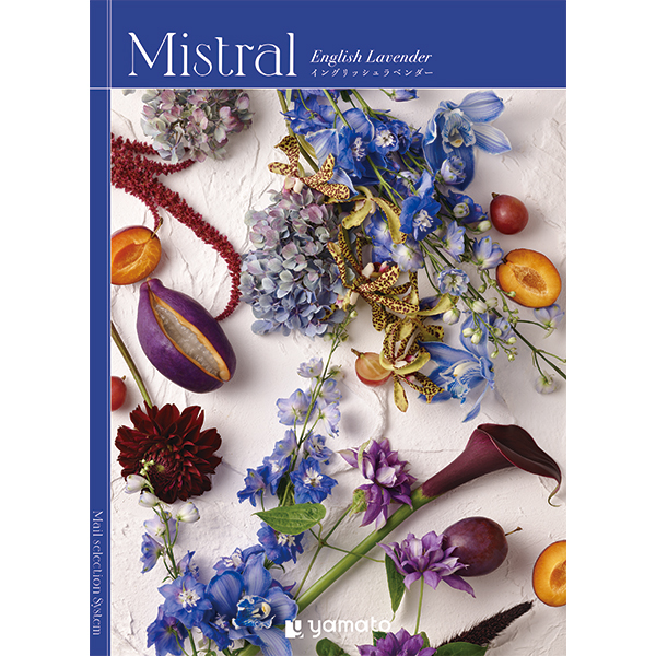 [カタログギフト]Mistral(ミストラル)＜English Lavender(イングリッシュラベンダー)＞