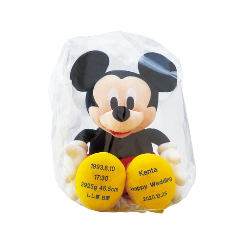 ウェルカムドール ミニーマウス
