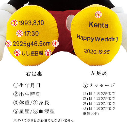 ウェルカムドール ベビープー 女の子