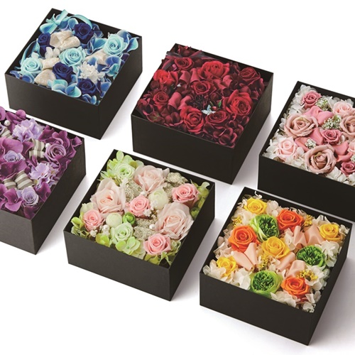 [PEREMEIRE]フルールエクラン/ブルーノアール