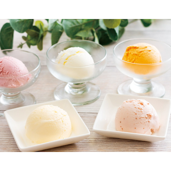 [「乳蔵」]北海道アイスクリーム5個入【直送品】【送料込】