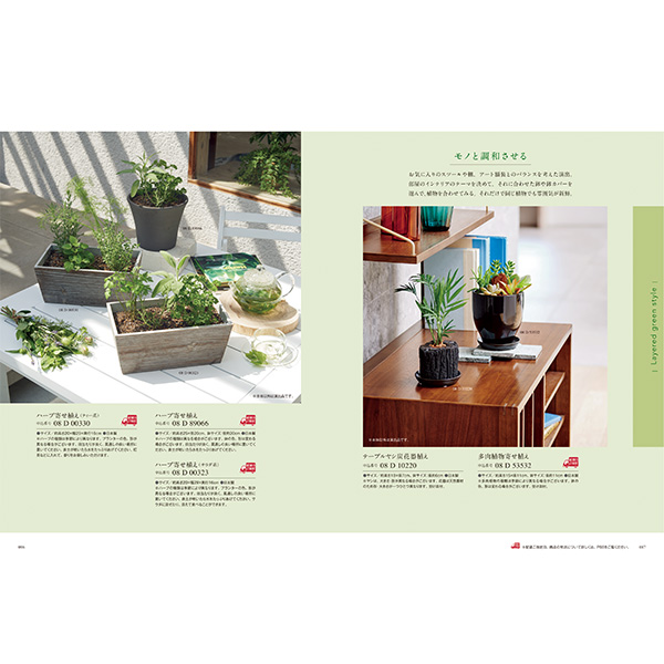 [カタログギフト]Mistral(ミストラル)＜Arnica(アルニカ)＞