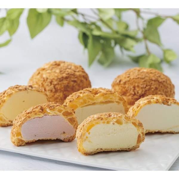 [銀座千疋屋]銀座プレミアムシューアイス【直送品】【送料込】