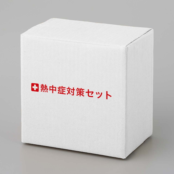 熱中症対策セット