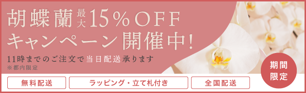胡蝶蘭　15％OFF　キャンペーン　期間限定　祝い花