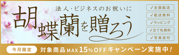 胡蝶蘭　15％OFF　キャンペーン　期間限定　祝い花　法人　ビジネス　贈答花