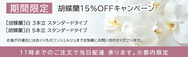 胡蝶蘭特集
