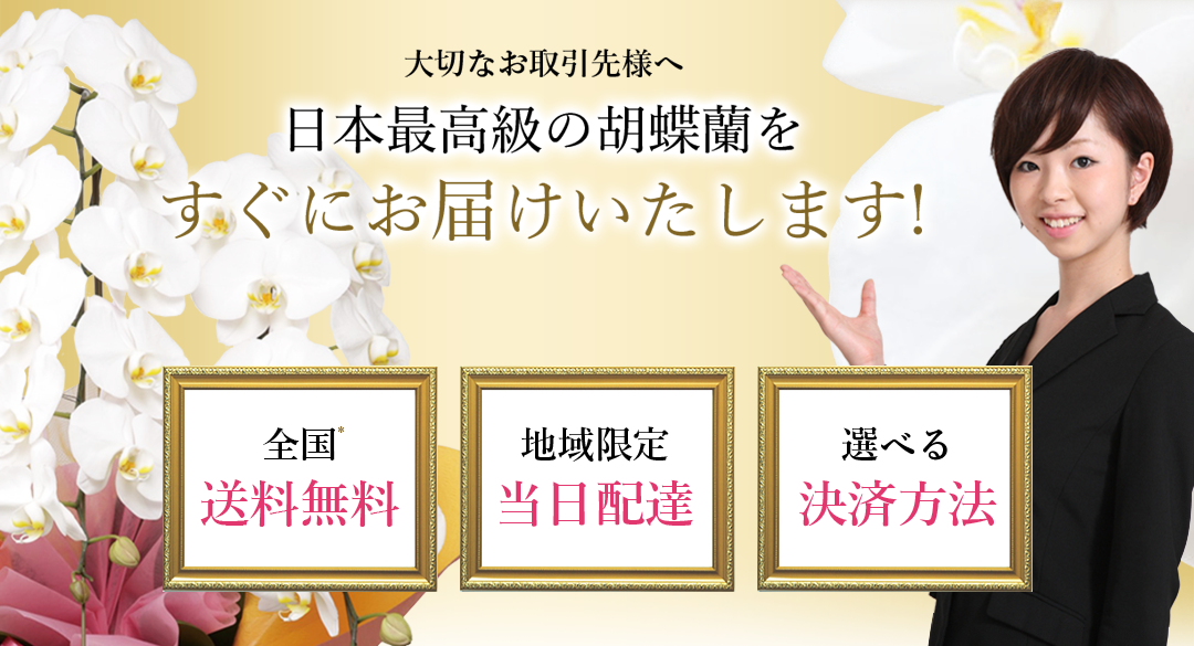 大切なお取引先様へ 日本最高級の胡蝶蘭をすぐにお届けいたします 全国送料無料 地域限定当日配達 選べる決済方法