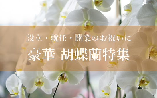 法人ギフト】祝い花、お中元、お歳暮 okurimono-おくりもの-